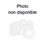 Le gros Hector PAIN DE VIANDE POUR (PAIN HOT-DOG)1